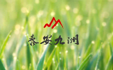 泰安九洲土工材料與超越互聯(lián)（濟(jì)南）簽約網(wǎng)站建設(shè)